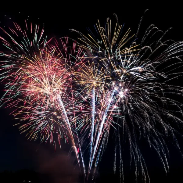 Fireworks in a dark sky